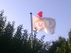 flagday